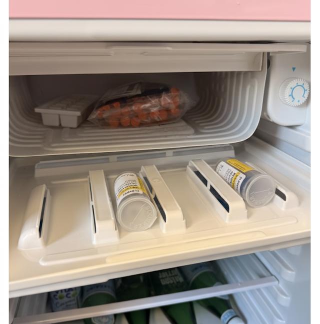 The Day I Put My Brain in the Freezer (Literally)