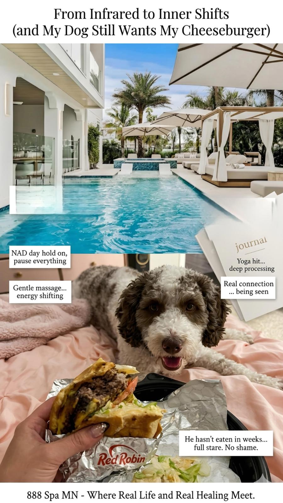 From Infrared to Inner Shifts (and My Dog Still Wants My Cheeseburger)